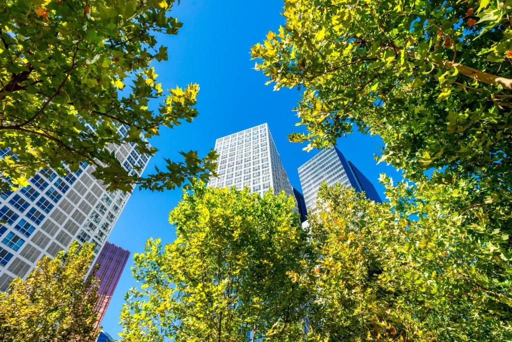 Elevated Ecosystems & Sustainable Urban Development in Bengaluru | BHADRA Group