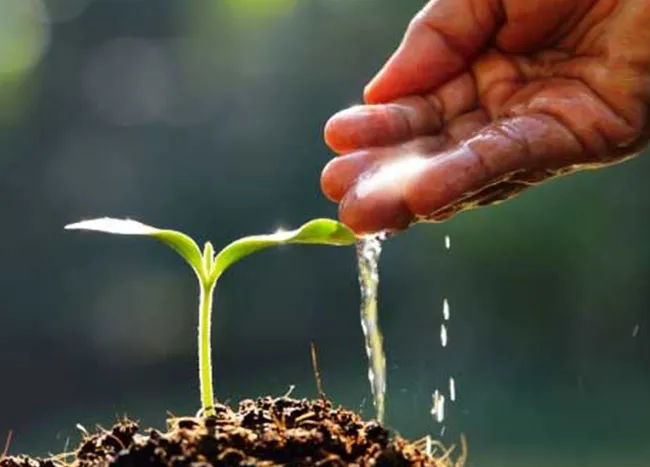 Green living and sustainable development by BHADRA Group